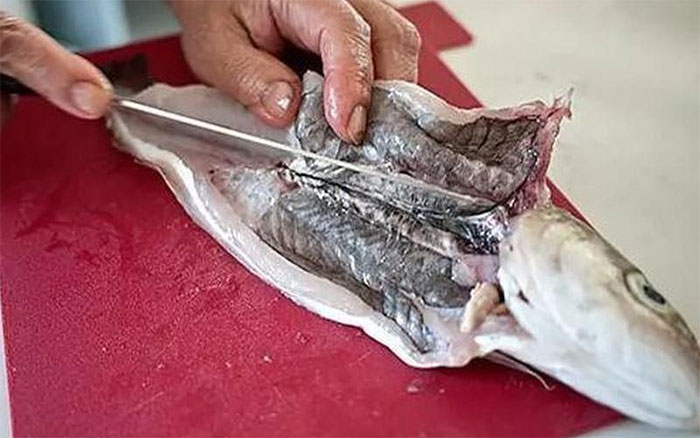 7 bộ phận của cá nhiều người tranh ăn nhưng có thứ gây chết người nhanh hơn ung thư - KhoaHoc.tv