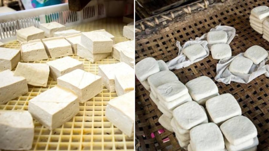 Để phân biệt đậu phụ sạch và đậu phụ thạch cao, bạn cần quan sát màu sắc, kết cấu, mùi hương của miếng đậu.